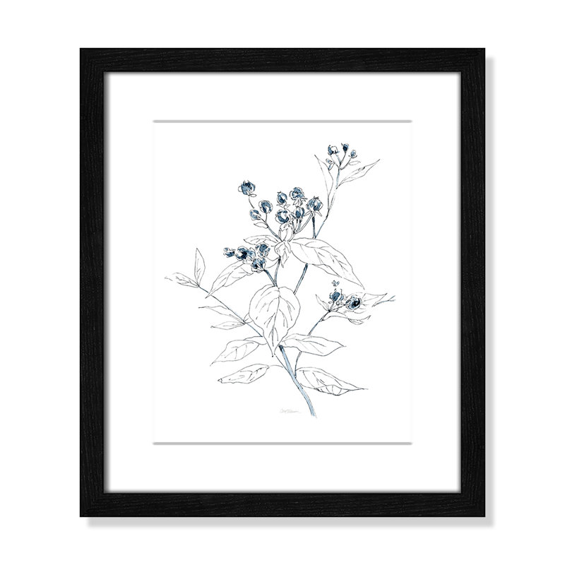 «Indigo S croquis I» par Carol Robinson - reproduction de cadre photo unique, H 15 po x l 13 po x P 0,75 po, Cadre noir