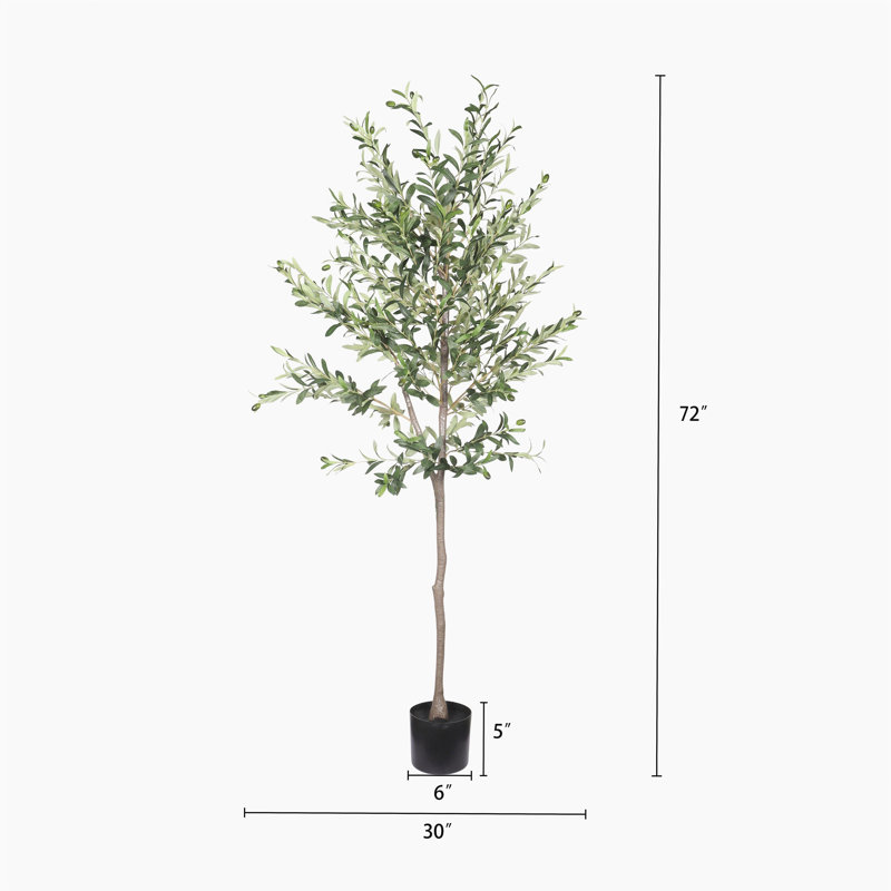 6pi d'olivier artificiel dans un pot en plastique noir, 1pc / ensemble, 72" H x 30" W x 6" D