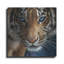 «Blue Eyes» par Collin Bogle-783265445