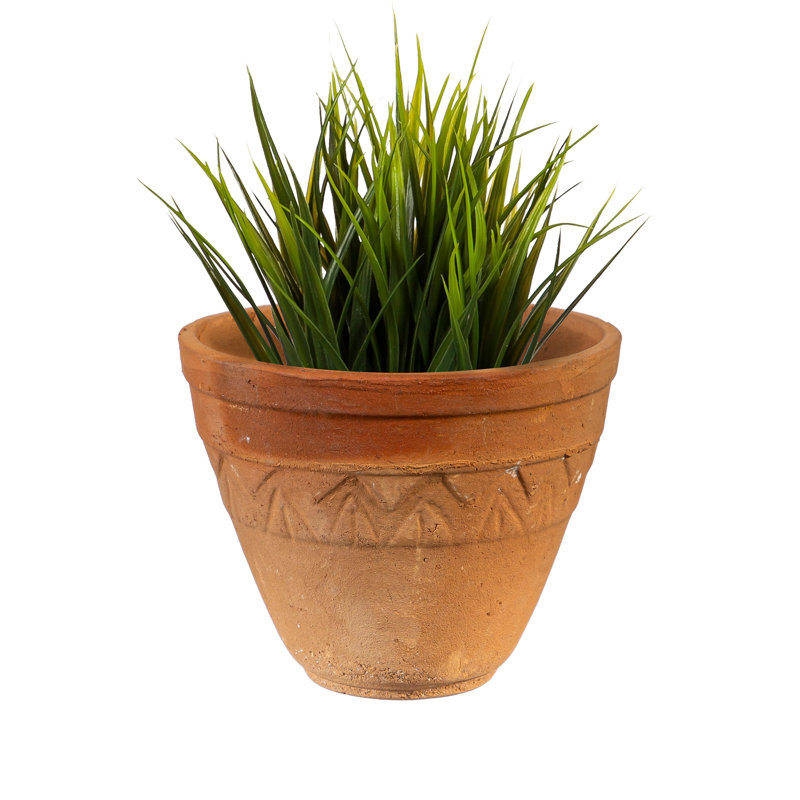 Metal Planter Stand with Terracotta Planters