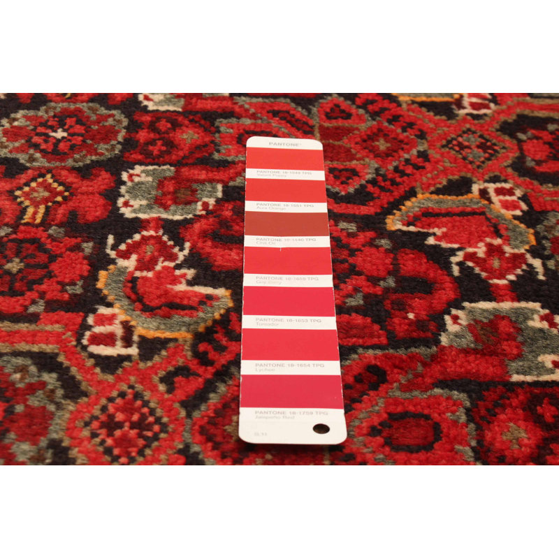 Tapis rouge Andelz 3 pi 5 po x 8 pi 5 po