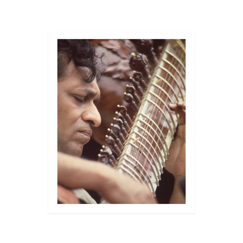 Gros plan sur Ravi Shankar - photographie, H 10 po x l 8 po