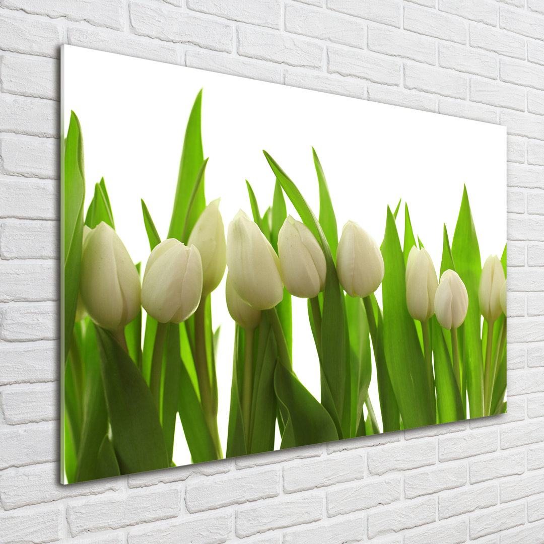 Glasbild White Tulips