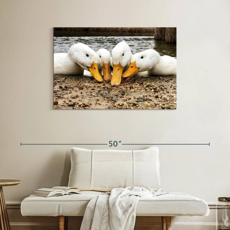Pekin Ducks de Brampt, H 26 po x l 39 po