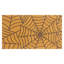 Paillasson antidérapant 30 po x 16,8 po Raisa