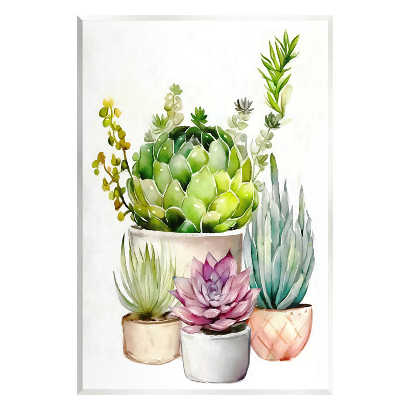 "Stupell Industries", plante murale de plantes succulentes par Ziwei Li-au-768, H 19 po x l 13 po