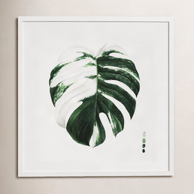 Variegated Monstera II Print by Grace Popp