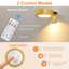 Battery Powered LED Wall Mount Picture Light