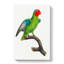 A Red-Cheeked Parrot by F. Levaillant - Wrapped Canvas-55368398