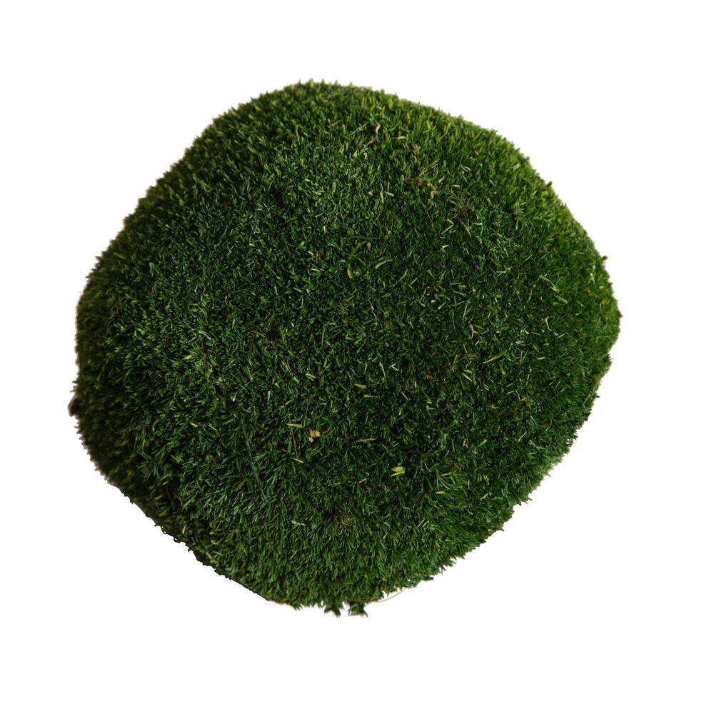 Primrue 4.5'' Faux Moss Plant