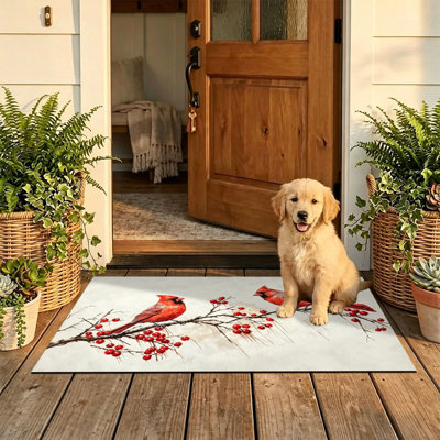  Non-Slip Indoor Outdoor Door Mat, 24"x36",Cardinal Red Berry