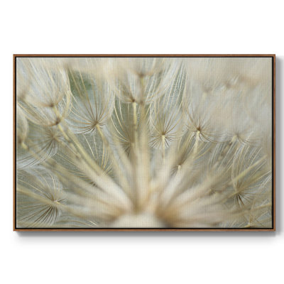Macro Dandelion IV, reproduction d'art sur toile