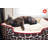 Kalahari Lounge Pet Bed-7511529-7511532