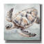 Toile épique Graffiti «Cape Cod Turtle» par Nicole DeCamp, 26 po x 26 po-1385411411