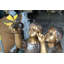 Statue de deux enfants jouant avec des papillons en bronze - Taille: L 30 po x l 30 po x H 50 po
