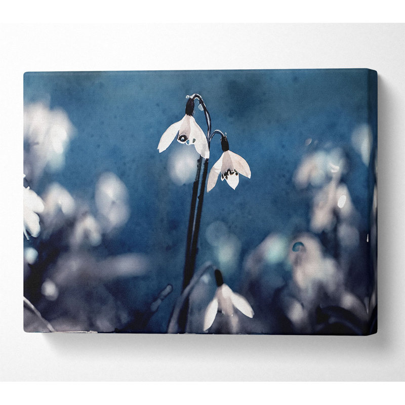 Opened Snowdrops - Wrapped Canvas Print, 66cm H x 106.6cm W x 10cm D