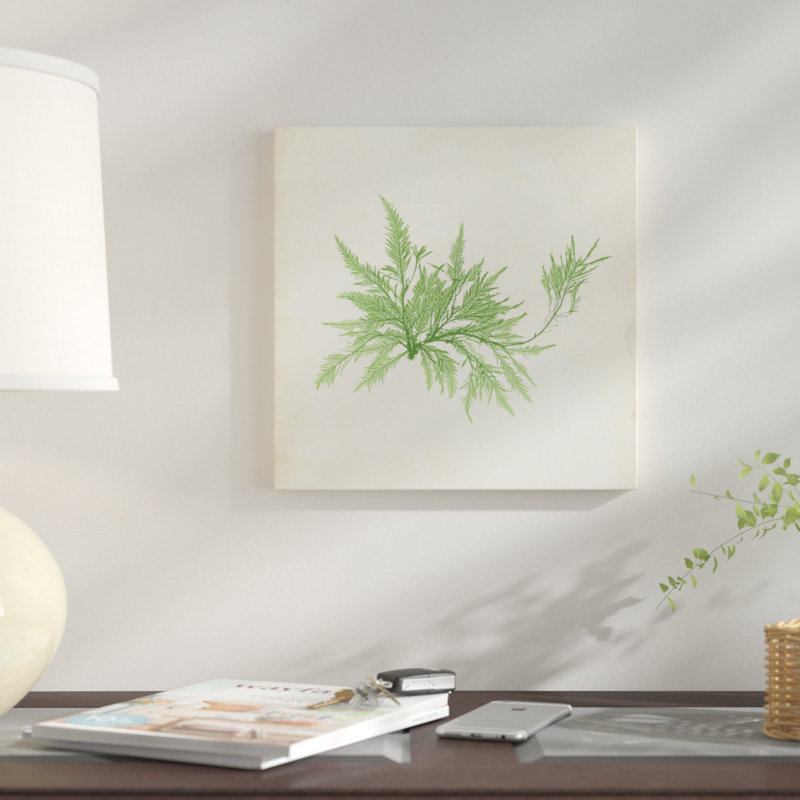 « péridot algues v », reproduction d’impression sur toile tendue, H 12 po x l 12 po x P 0,75 po, Toile tendue, Pas de tapis