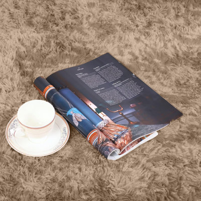Aajon Solid Colour Shag Area Rug