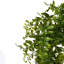 Vigne artificielle 30 po vert