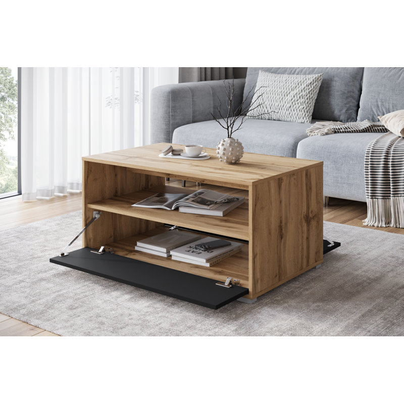 Nimfea Coffee Table with Storage, Brown/Bronze