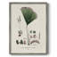 Bright Boy I, reproduction encadrée-1246385317-1246385322-1246385323