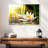 Sunlit Water Lily-634547384-634547385