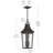 Cleary 24.75" 2-Light Outdoor Pendant with Clear Glass in Olde Bronze-126690927