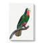 A Cuban Parrot by F. Levaillant - Wrapped Canvas-55368089