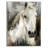 Casper by Studio Arts Canvas Art Print-162793216-162793219