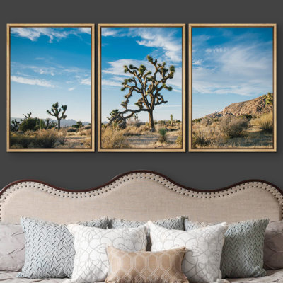 Joshua Tree, désert, parc national, paysage, nature sauvage, photographie, art moderne, rustique