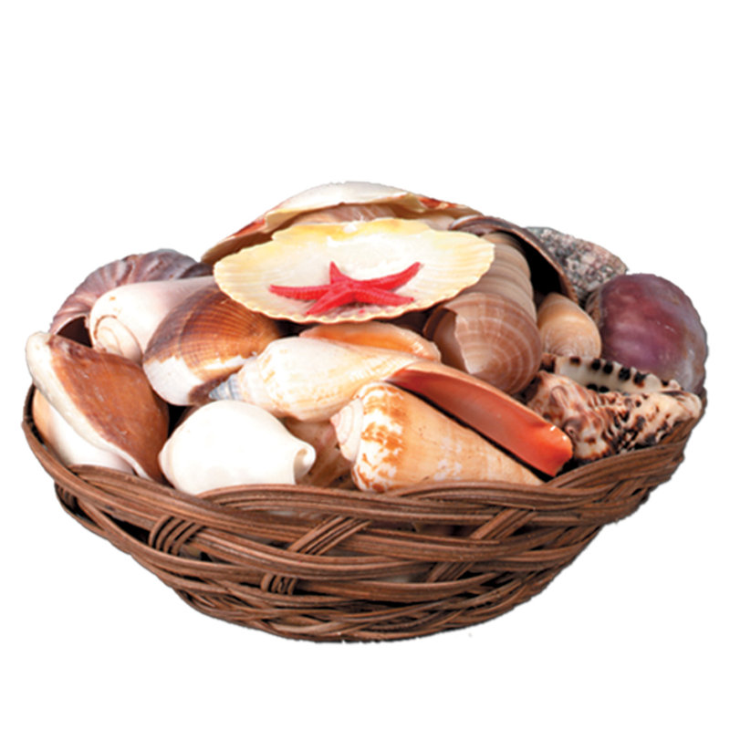 Panier de coquillage décoratif Terrazas