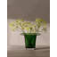 Victoria Glass Candle Holder-128839614-128839615