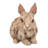 Driftwood Rabbit Statue-1367382679