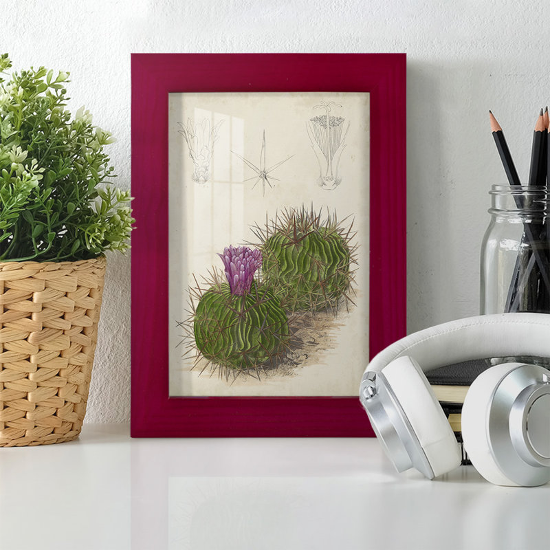 Cactus antique II - impression encadrée avec verre, Rouge, H 6 po x l 4 po x P 1 po