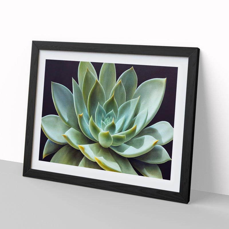 Watercolour Succulent Plant Vol.5 1 Piece Single Picture Frame Wall Art, 25cm H x 34cm W, Black