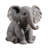 Sitting Baby Elephant