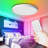 LED Flush Mount