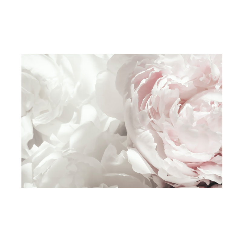 Pivoine moderne et contemporaine sur toile, H 30 po x l 47 po x P 2 po