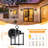 Numidia LED Wall Light