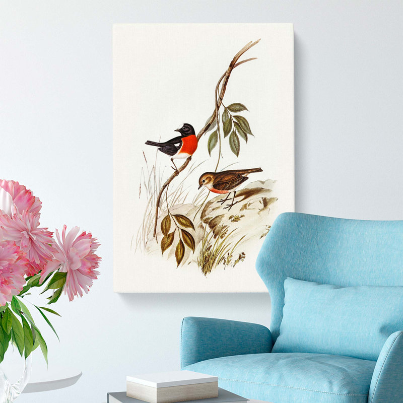 Norfolk Island Robin by Elizabeth Gould - Wrapped Canvas, 60cm H x 40cm W x 3cm D