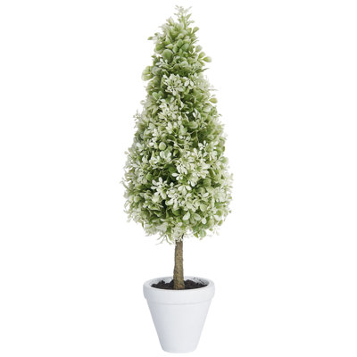 22" Boxwood Topiary In Clay Pot