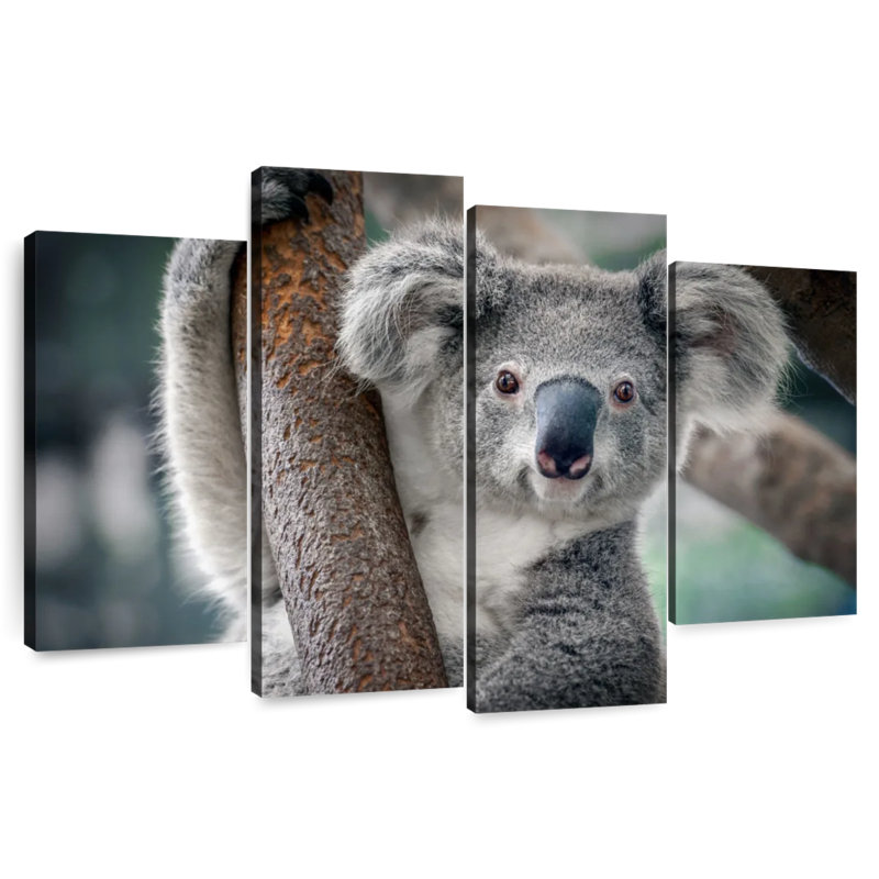 Brampt Happy Koala, 27'' H x 43'' W