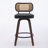 Contemporary Leisure Barstools