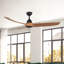 Baylor Smart Downrod Ceiling Fan-1674648004