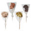 Sponge Mushroom Stem-356003756
