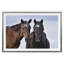 Friendship Print-708821434-708821436