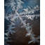 Ice Crossing Print by Scott Norris