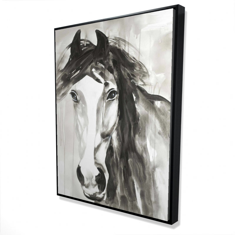 Beautiful Wild Horse Print On Canvas