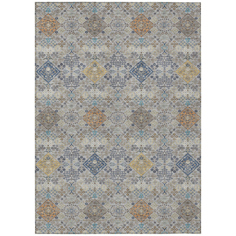 Machine Washable Indoor/Outdoor Chantille ACN2440 Traditional Rug, Silver, 5' x 7'6"