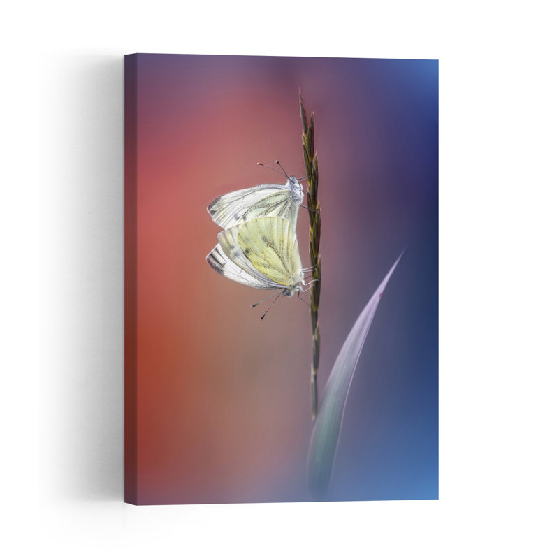 Gentle Butterfly Love Delicate Peaceful Serene Butterfly Nature Plant Wall Art Print 1 Piece Wrapped Canvas Wall Art